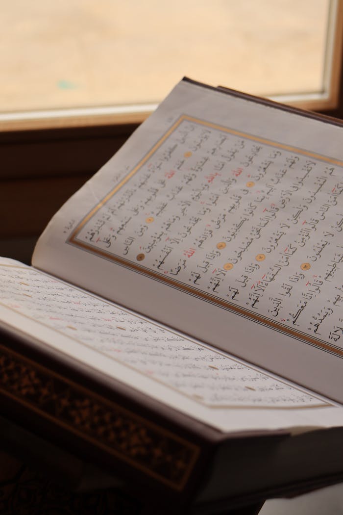 services-01 An open Quran captured in soft daylight, symbolic of Islamic faith and spirituality.